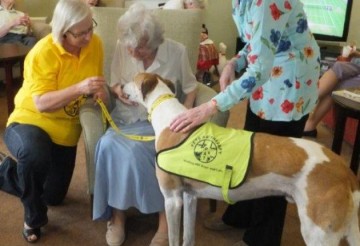 Queen Elizabeth Park Nominates Pet Dog For PAT of the Year
