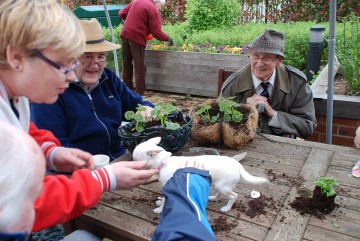 Dementia Awareness week at Acorn Court, Redhill: Residents, Carers and Missi all get involved in an afternoon of gardening