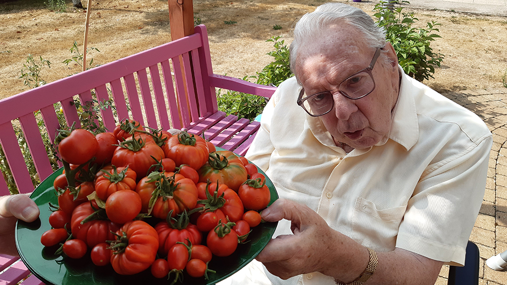 David with home-grown tomatoes